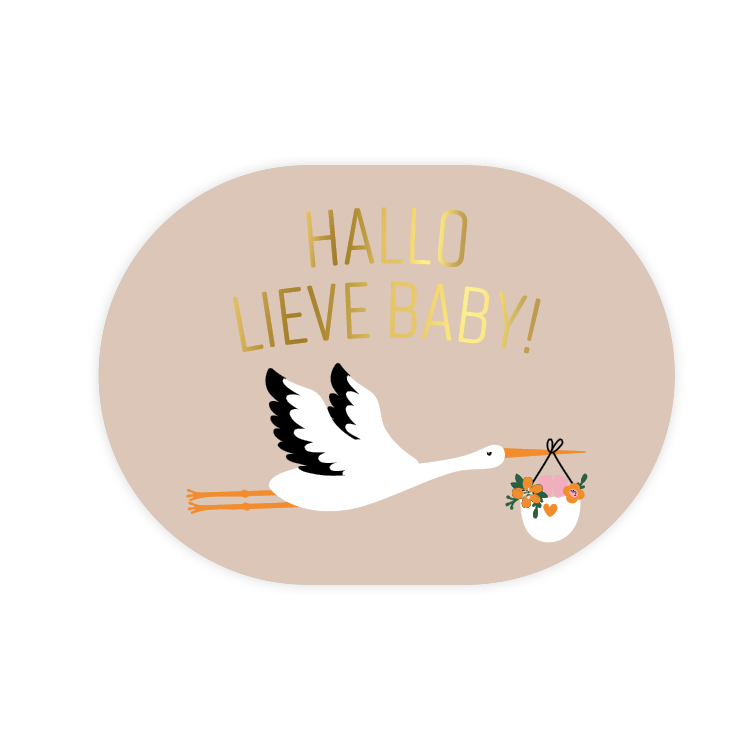 Cadeaustickers | Hallo lieve baby 10 stuks goudfolie